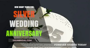 Celebrating Silver Love: Years Marking the 25th Wedding Anniversary