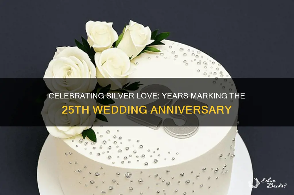 how many years for silver wedding anniversary