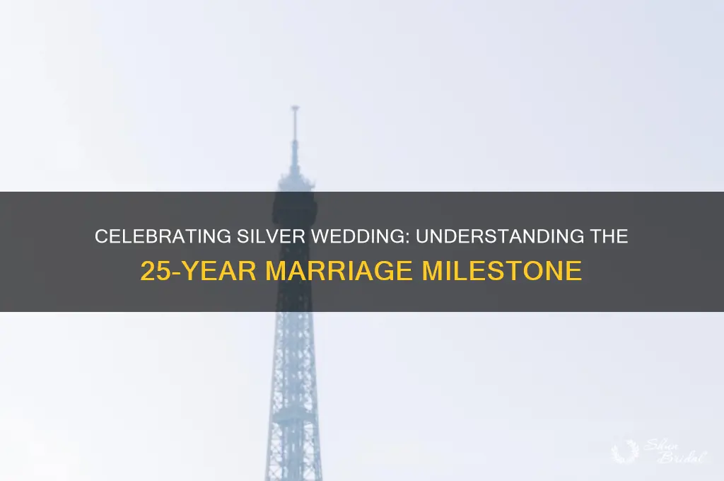 how many years is a silver wedding