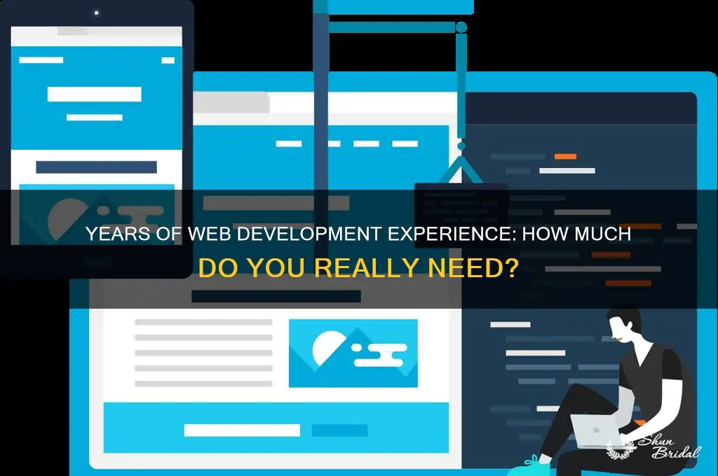 how many years of wed development experience do you have