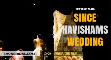 Miss Havisham's Wedding: Unraveling the Years of Her Frozen Time