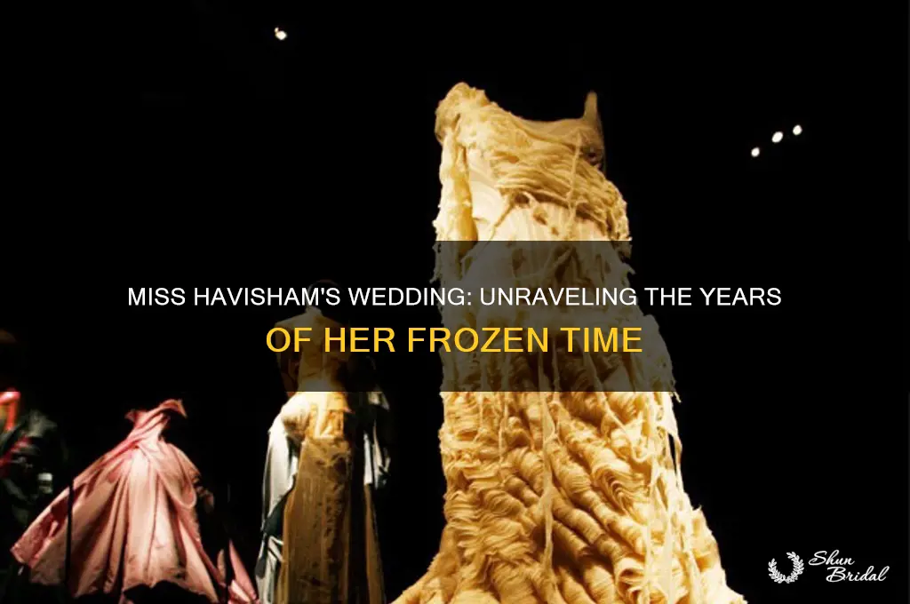 how many years since havishams wedding