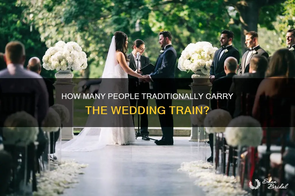 how may paople carry the wedding tail