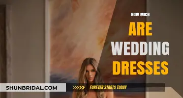 Cost of Wedding Dresses: What's the Average?
