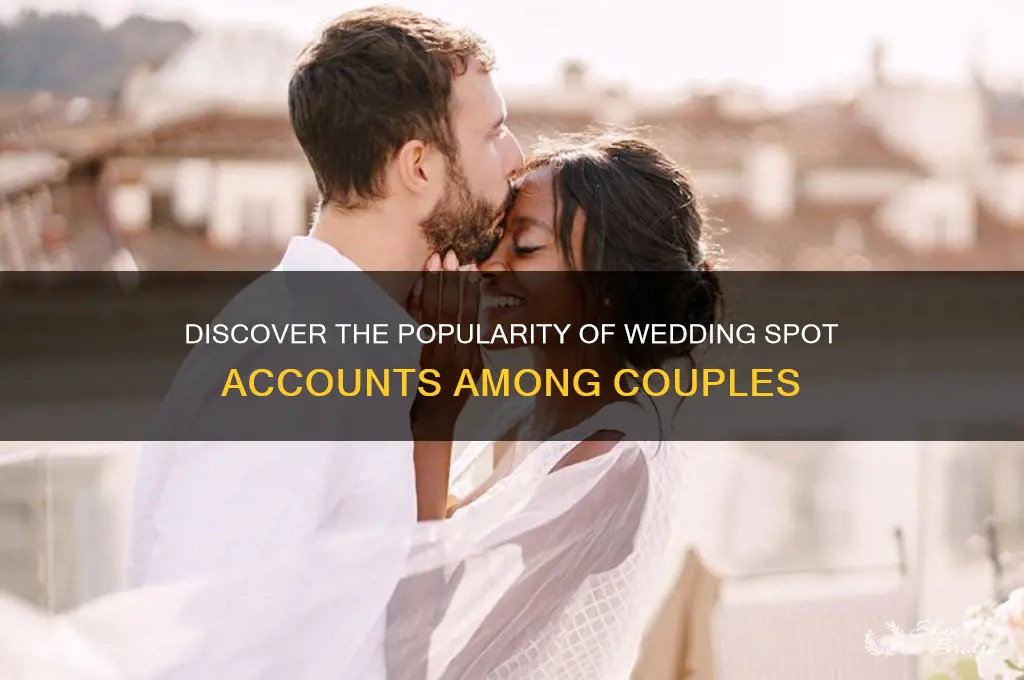how mnay people have wedding spot accounts