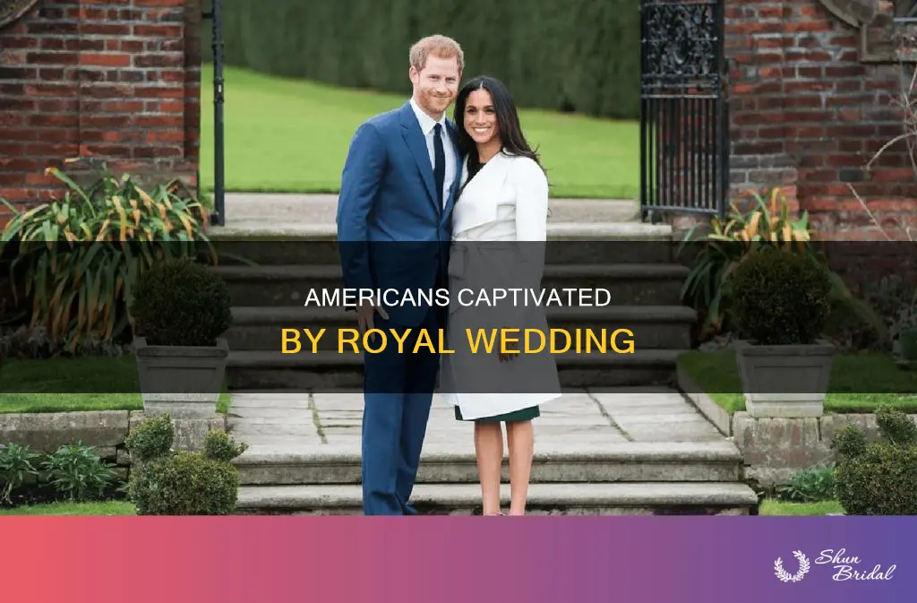 how mny americans watched prince harry wed meghan