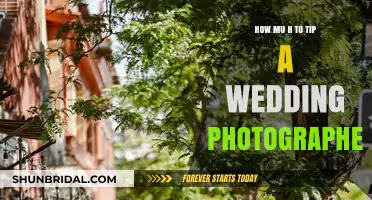 Gratitude for Capturing Memories: Wedding Photographer Tipping Guide