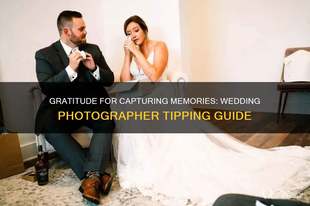 how mu h to tip a wedding photographer