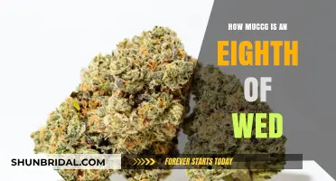 Understanding the Cost of an Eighth of Weed: A Pricing Guide