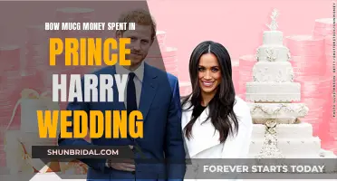 Prince Harry's Wedding: Millions Spent