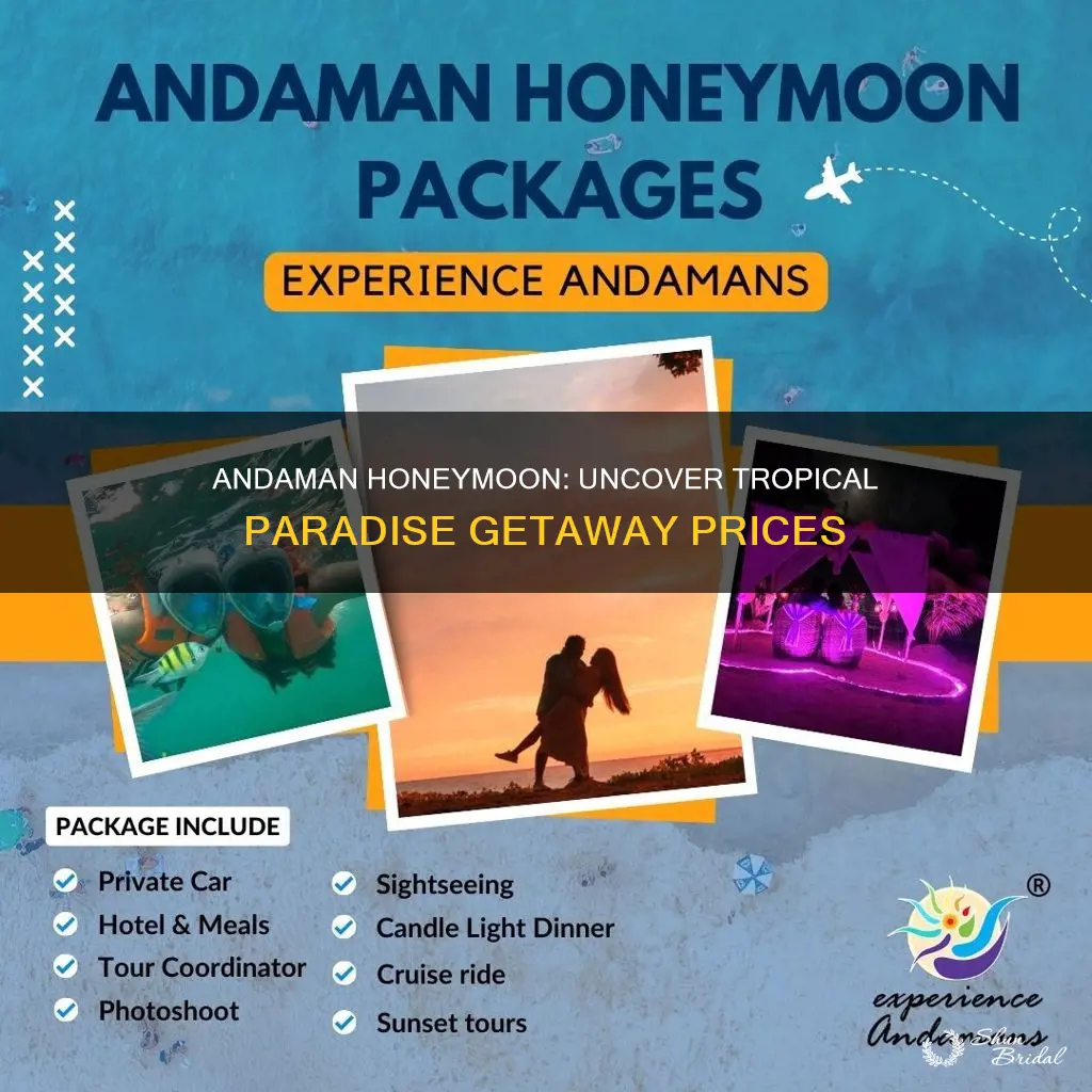 how much andaman honeymoon package cost