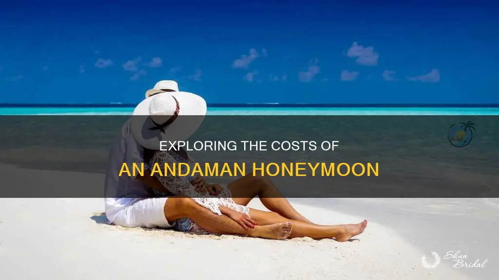 how much andaman honeymoon package cost