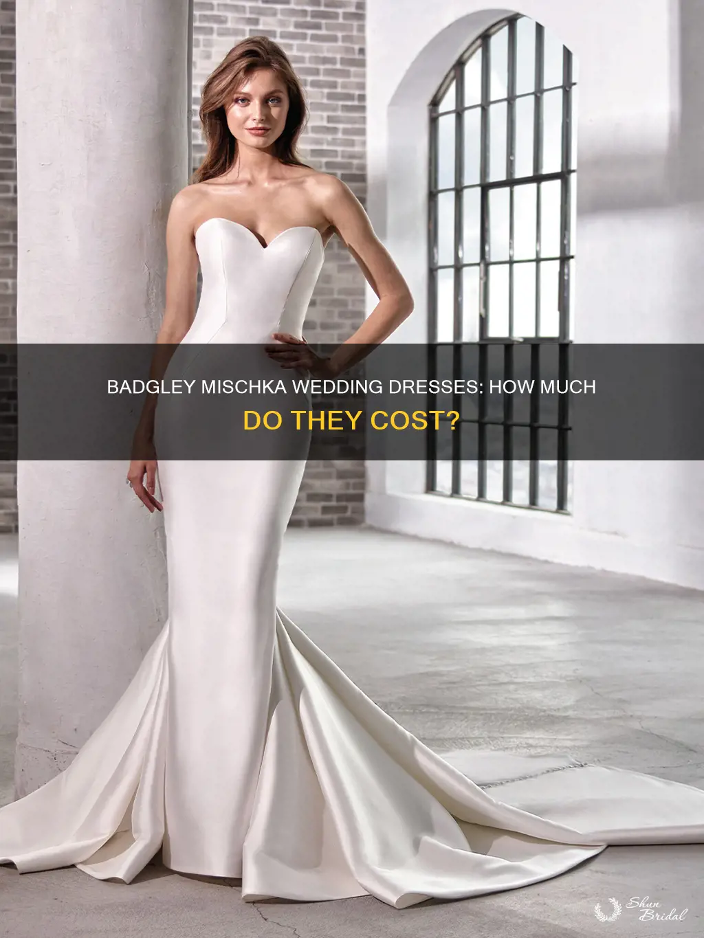 how much are badgley mischka wedding dresses