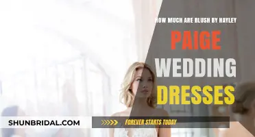 Explore Blush by Hayley Paige: Wedding Dresses and Their Price Tags