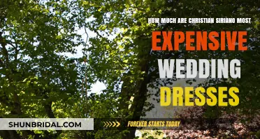 Christian Siriano's Wedding Dresses: How Expensive?