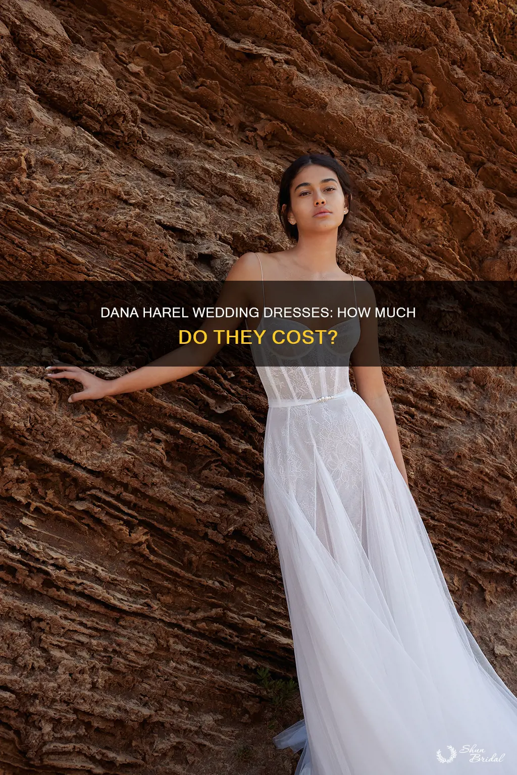 how much are dana harel wedding dresses