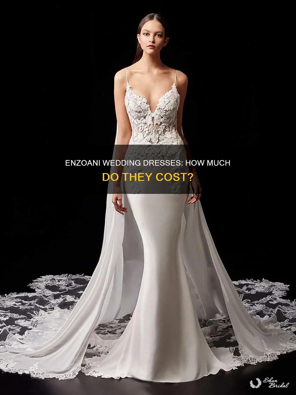 how much are enzoani wedding dresses