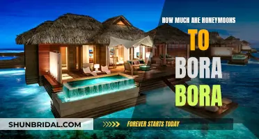 Honeymoon Paradise: Exploring Bora Bora's Romantic Getaway Costs