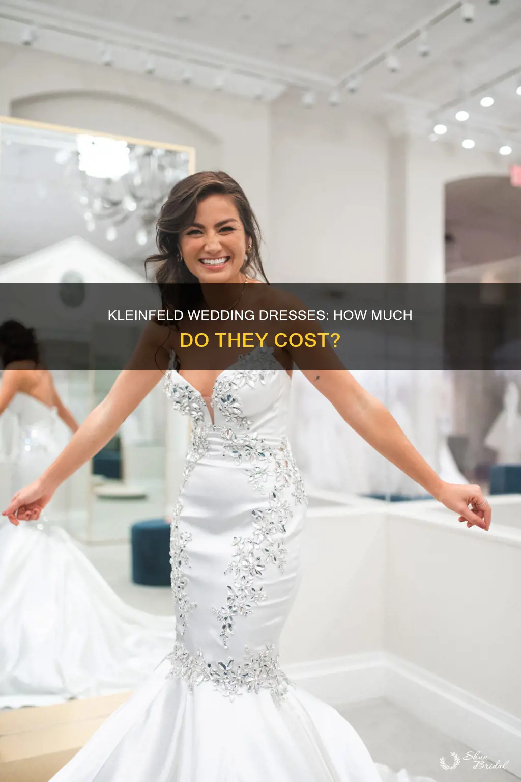 how much are kleinfeld wedding dresses