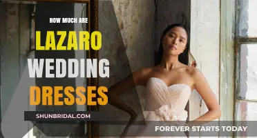 Explore Lazaro Wedding Dresses and Their Price Range