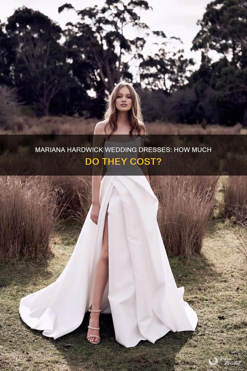 how much are mariana hardwick wedding dresses
