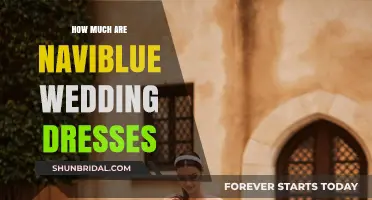 Naviblue Wedding Dresses: How Much Do They Cost?