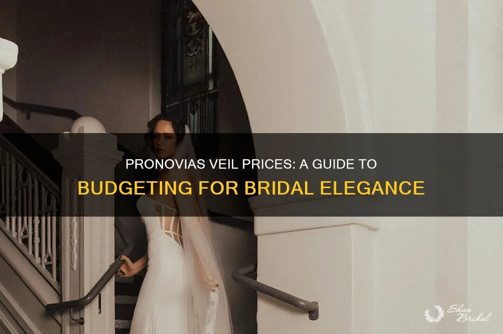how much are pronovias veils