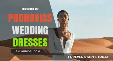 Pronovias Wedding Dresses: How Much Do They Cost?