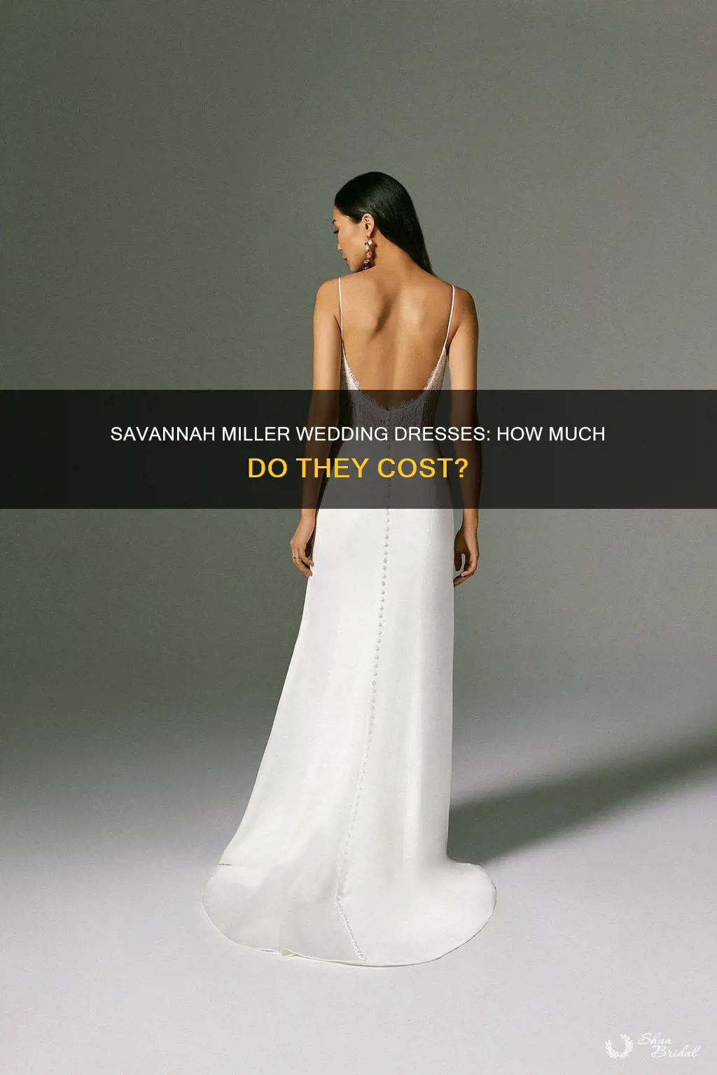 how much are savannah miller wedding dresses