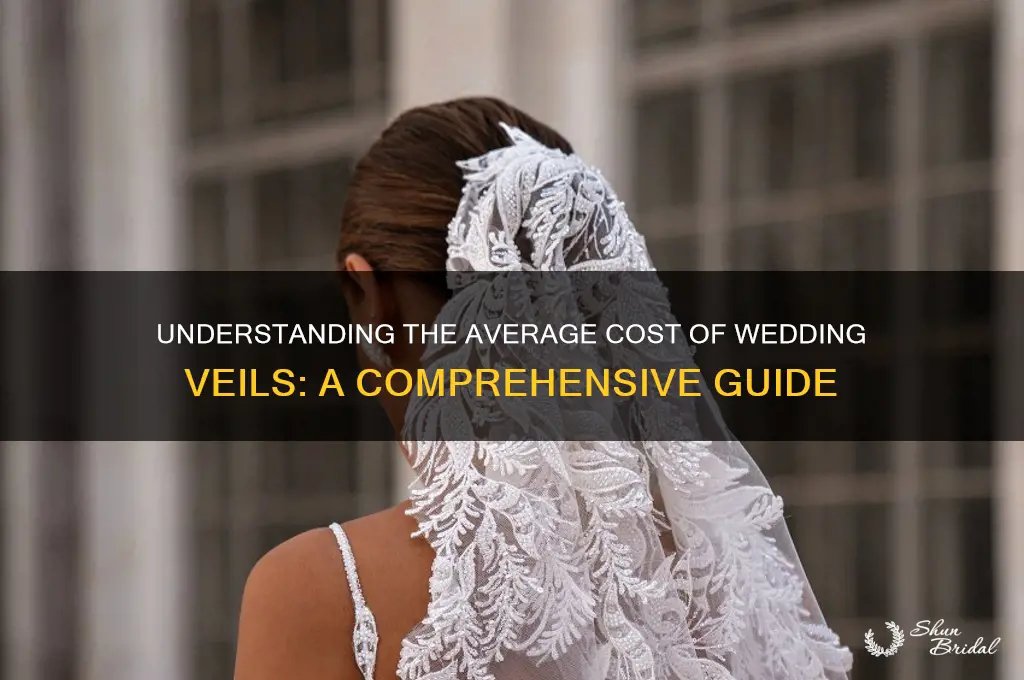 how much are veils tipically