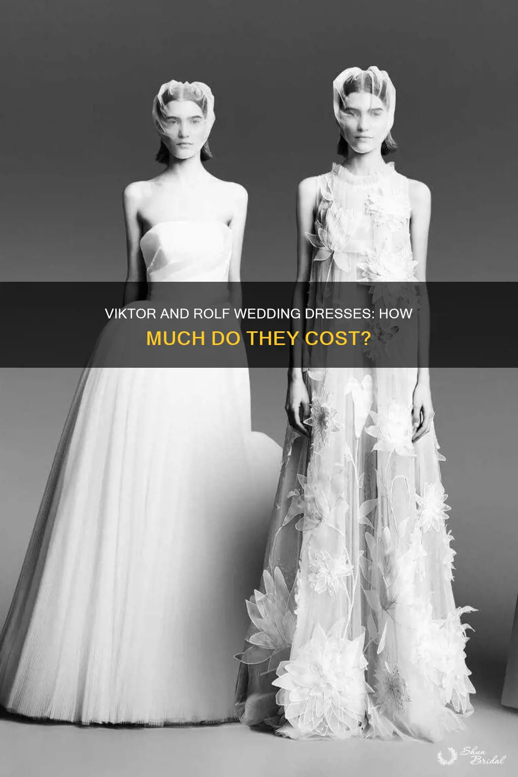 how much are viktor and rolf wedding dresses
