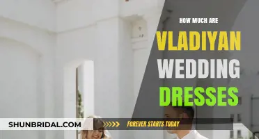 Explore Vladiyan Wedding Dresses and Their Cost