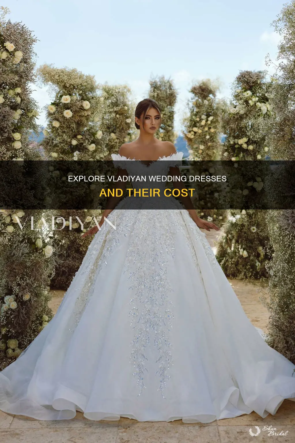 how much are vladiyan wedding dresses