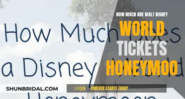 Disney World Honeymoons: Ticket Prices and Tips for the Perfect Getaway