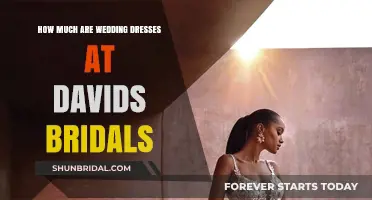 Explore Wedding Dresses at David's Bridal: How Much Do They Cost?