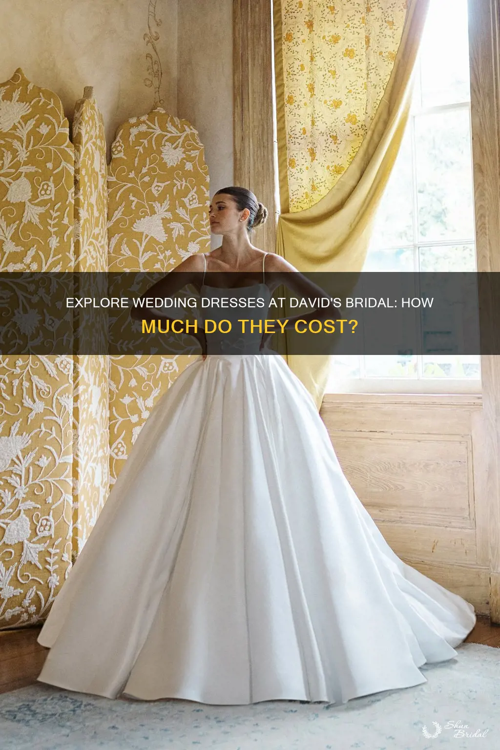 how much are wedding dresses at davids bridals