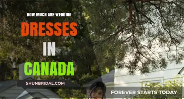 Wedding Dress Costs in Canada: How Much?