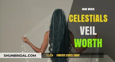 Celestial Veil's Value: Unveiling the Worth of the Divine Artifact