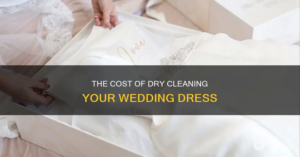how much cost dry clean wedding dress