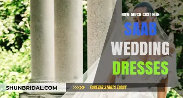 Explore the Cost of Elie Saab Wedding Dresses