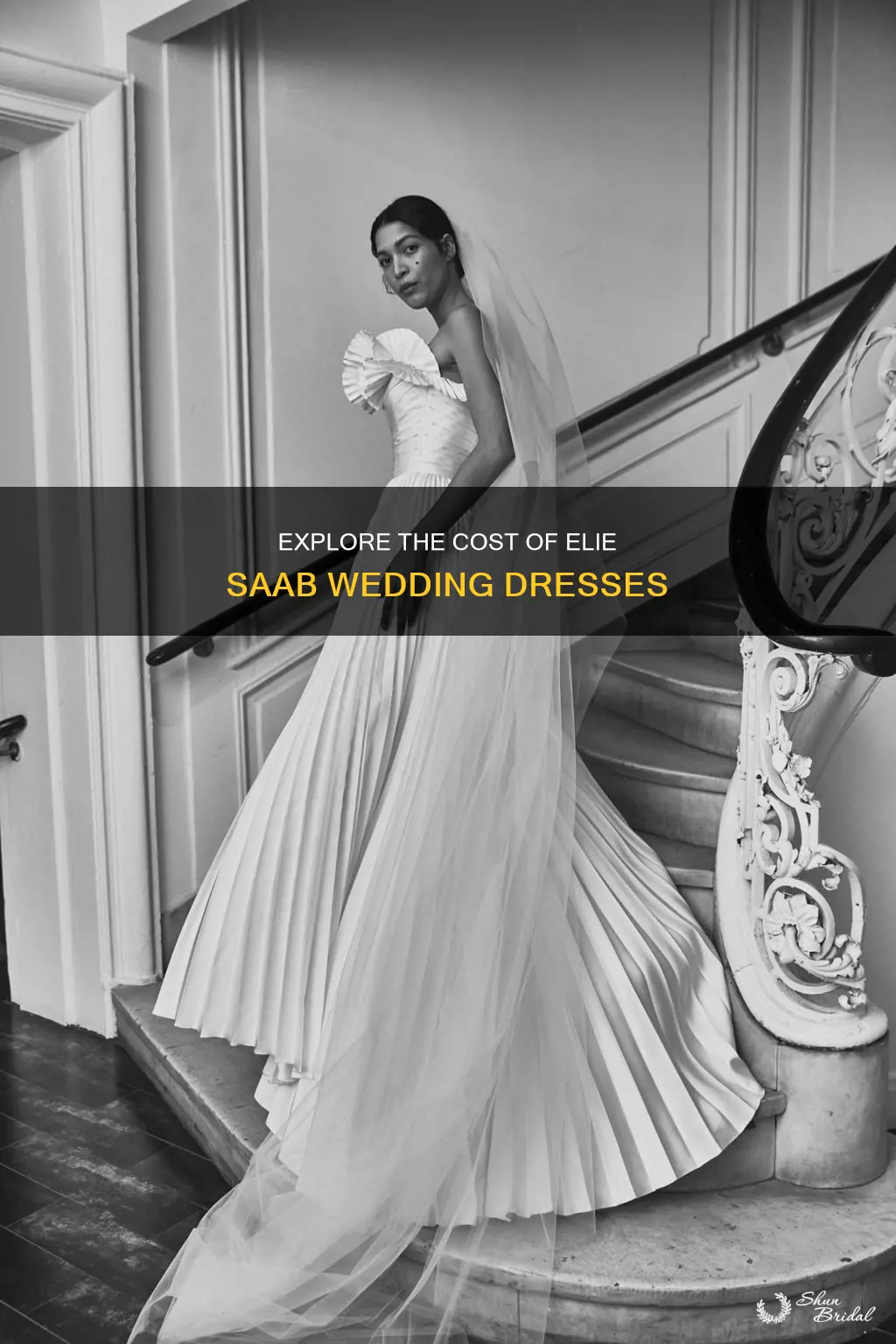 how much cost elie saab wedding dresses