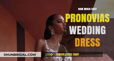 Pronovias Wedding Dresses: How Much Do They Cost?