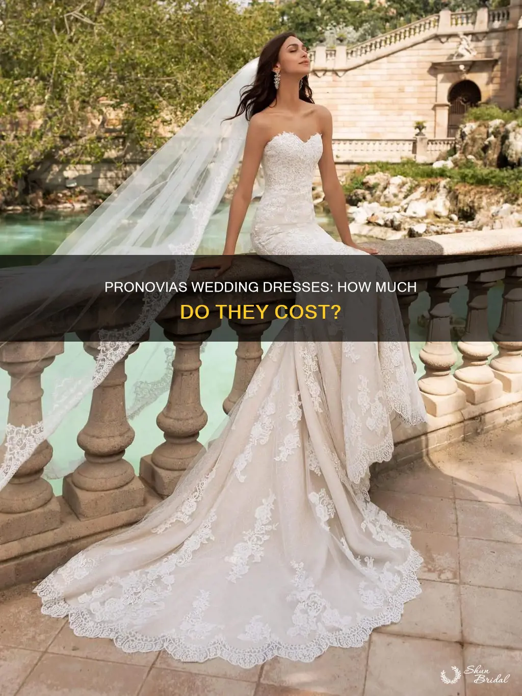 how much cost pronovias wedding dress