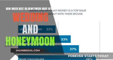 Debt Dilemma: Navigating Finances as Newlyweds Post-Wedding and Honeymoon