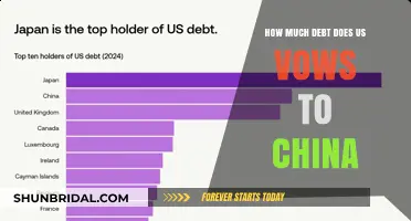 US Debt to China: Unraveling the Financial Ties and Implications