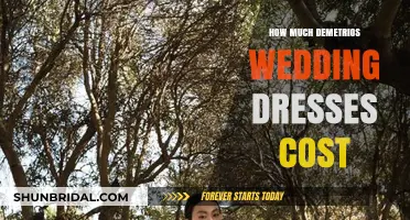 Demetrios Wedding Dresses: What's the Price Tag?