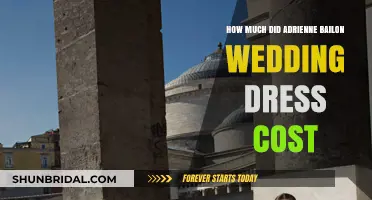 Adrienne Bailon's Wedding Dress: The Price Tag