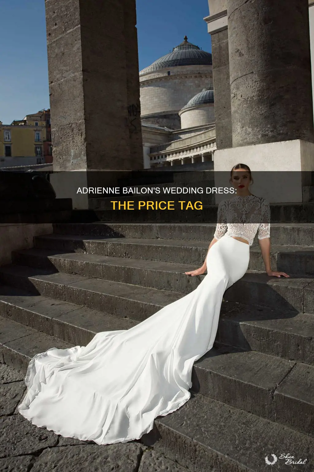 how much did adrienne bailon wedding dress cost