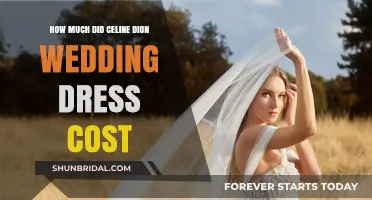 Celine Dion's Extravagant Wedding Dress: The Cost Revealed