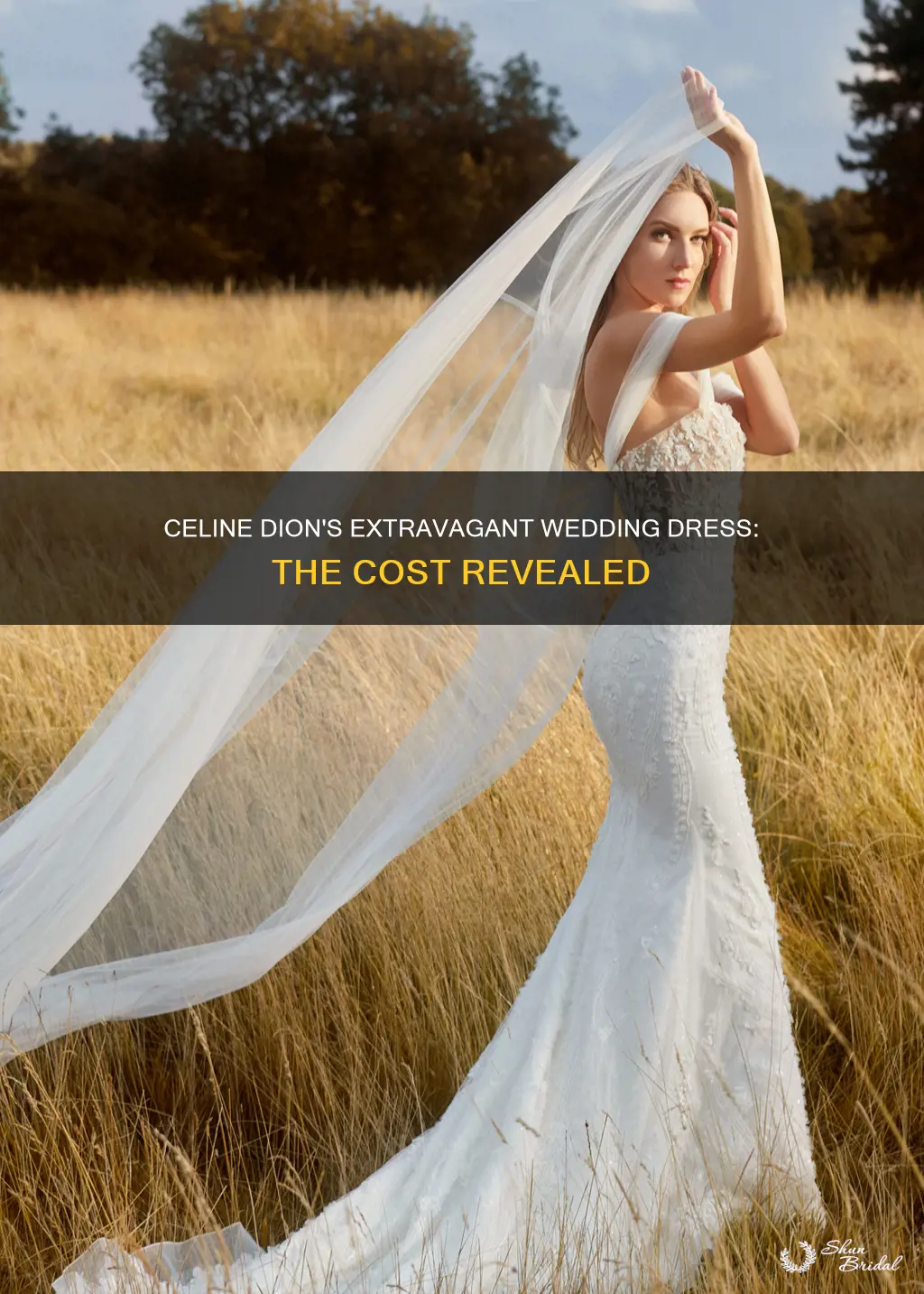 how much did celine dion wedding dress cost